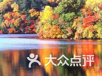 山东事业编考试时间游戏画面