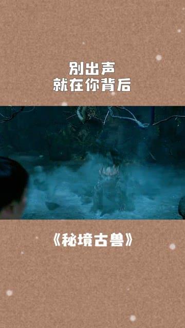 关于航班前起落架无法正常收回的声明