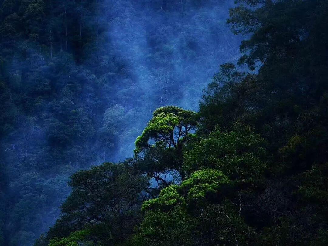 2月，桃花朵朵开，这4大生肖遇上真爱，喜结良缘，余生非常幸福