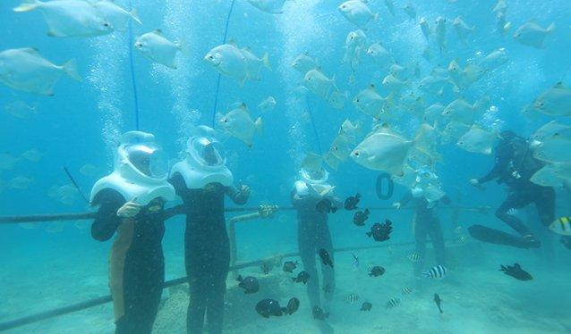 济宁农商银行:与济宁高新区管委会举办金融辅导进园区政金企对接会