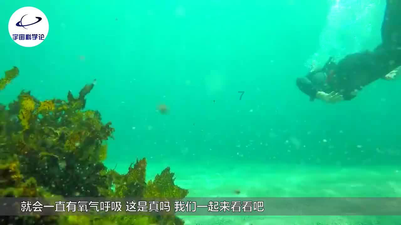 美国一群嫌犯冒充警察上门 盗走盲人女性大量财产