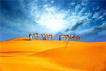 精灵的冒险之旅